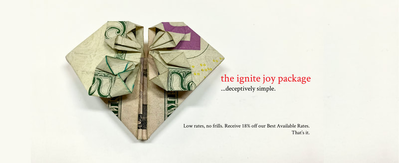 Ignite Joy Package image